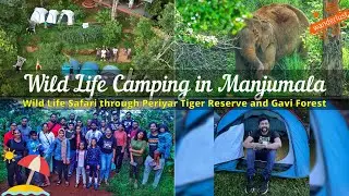 Wildlife Camping in Sathram | Camping and wildlife spotting | Periyar Tiger Res and Gavi Forest | 4K