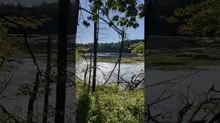 A Dose of Nature - Minister Lake:  Perfect Summer View