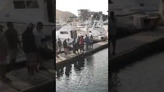 Marlin Azul!!!