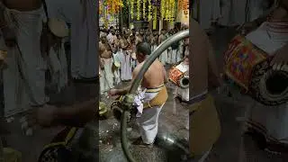 Kottakkal Ravi 🔥 #madhalam #panchavadyam #kerala #music #art #artist #festival #india #live #travel