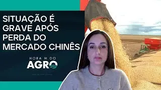 Paralisação de servidores prejudica agro dos Estados Unidos | HORA H DO AGRO