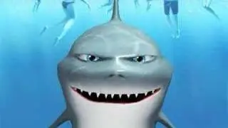 The Crazy Shark