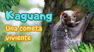 Kaguang (Galeopterus variegatus)