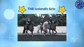 Icelandic Horse Society of Great Britain Training for All-Steps Formation Riding Gala