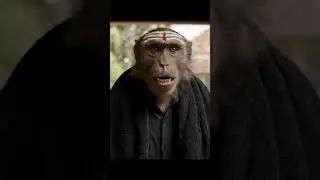 Sabarimala Part 6 #ai #funny #googleai #comedy #veo3 #tamil #sabarimala #monkey #uyirthamizhukku