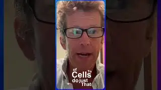 How Do You Scale a Cell Therapy Platform? A Founder&rsquo;s Perspective