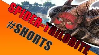 SPIDER TRILOBITE #Shorts