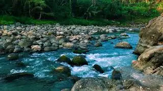 Sleep in the Story That the River Tells | A Narrative Soundscape