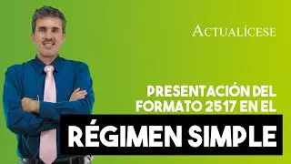 &iquest;Las personas naturales acogidas al r&eacute;gimen simple deben presentar el formato 2517?