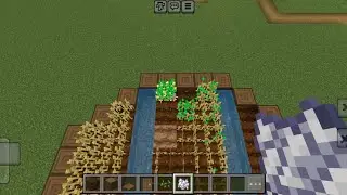New Village