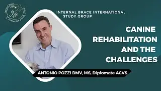 Canine Rehabilitation and the Challenges - Antonio Pozzi DMV. MS, Diplomate ACVS