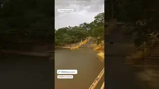 Katharagama 🇱🇰 🛩🛥⛱🌴🐋🐘🐆