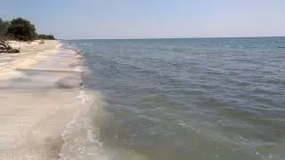Plaja salbatica de la Perisor, Delta Dunarii