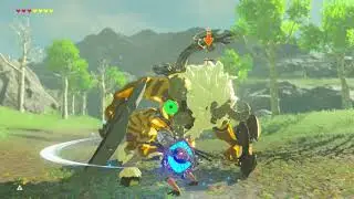 Damageless Gold Lynel Fight (No Champion Abilities)