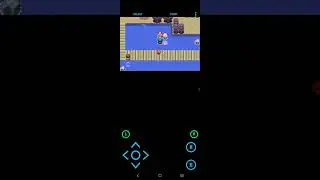 Pok&eacute;mon Dream stone Mystery part 2 | The second gym leader