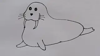 how make seal easy for beginner