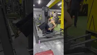 Seated Leg Press