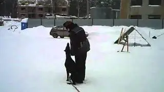 CLIP0016.AVI