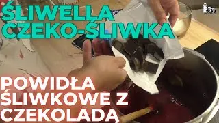 Śliwella czyli czeko-śliwka. Jak zrobić powidła śliwkowe a'la Nutella