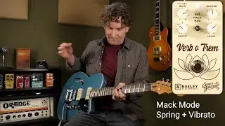 Keeley -  Eddie Heinzelman Verb o Trem Pedal Workstation
