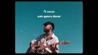 Ferran Palacios - un ni&ntilde;o en el mar  (Lyric Video)