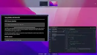 SPDX Licence and Solidity Version