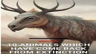 10 animals which have comeback from extinction | Endangered species  |Species revival