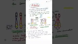 What is Allele? 🤔 😳 #shorts #biology  #allele #viralshorts