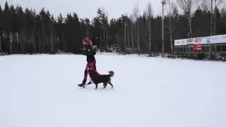 Startklass   F&ouml;ljsamhet
