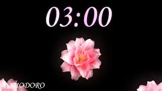 3 Minute Timer with Music - Study - Work - Deep Focus - Countdown Timer