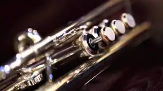 Fanfara - Te-am ales