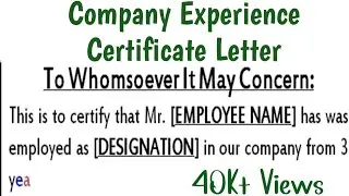 Company Experience Letter Format | Letter Writing