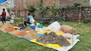 world famous dry fish market#viral #trending #viralvideo #video #viralshorts
