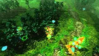 HON - Replay request video
