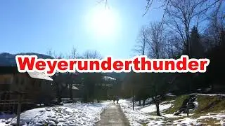 &Ouml;ffentlicher Garten Februar 2023 Beerenb&uuml;sche stutzen
