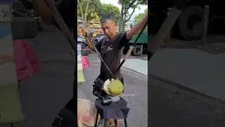 Malaysian coconut master cutting coconuts in the most special way!!!