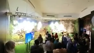 Virtual Tour 360&deg; video Museum Geologi Bandung Januari 2026 Part 4