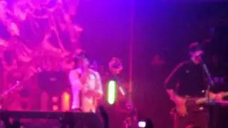 Animal - Panic At The Disco Cover (Neon Trees)