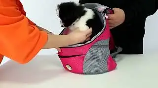Small Dog Travel Carrier Bag