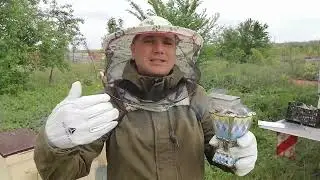 Halal HONEY Acacia ~ from Romania ~ George of Arabia