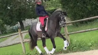 M Gavroche Coussoul