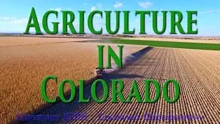 Short Clips of Agriculture in Colorado