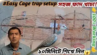 ঘুঘু পাখির ফাদ খাচা তৈরি।ঘুঘু পাখি ধরা সহজ ফাদ।ghughu pakhi dhara fad khacha. @Bird_Likes#trap #ঘুঘু