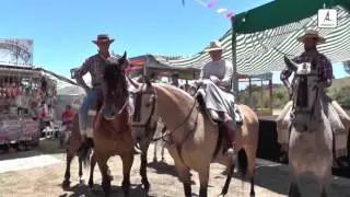 Romería de Periana 2017