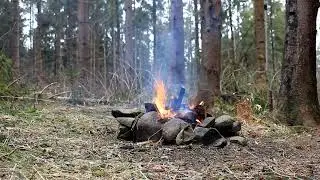 Forest bonfire - natural atmosphere and crackling of a bonfire in a dark forest.