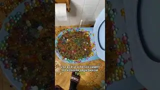 Француз Доигрался с Орбизами в Ванной