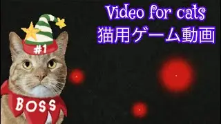Cat Games ~ Red laser chaser レー ザー光をキャッチ! 3ドットレッドレーザーポインター猫用ゲーム /猫の為の動画 /videoforcats猫用動画cattv​⁠