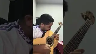 Sele&ccedil;&atilde;o de pagode na viola Giannini vs1 raiz #musicaraiz #modadeviola #musicacaipira #viola