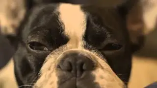 Kwabs - Perfect Ruin (Unofficial Video) feat Wilson