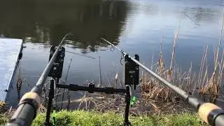 Screaming Carp Run!!!!